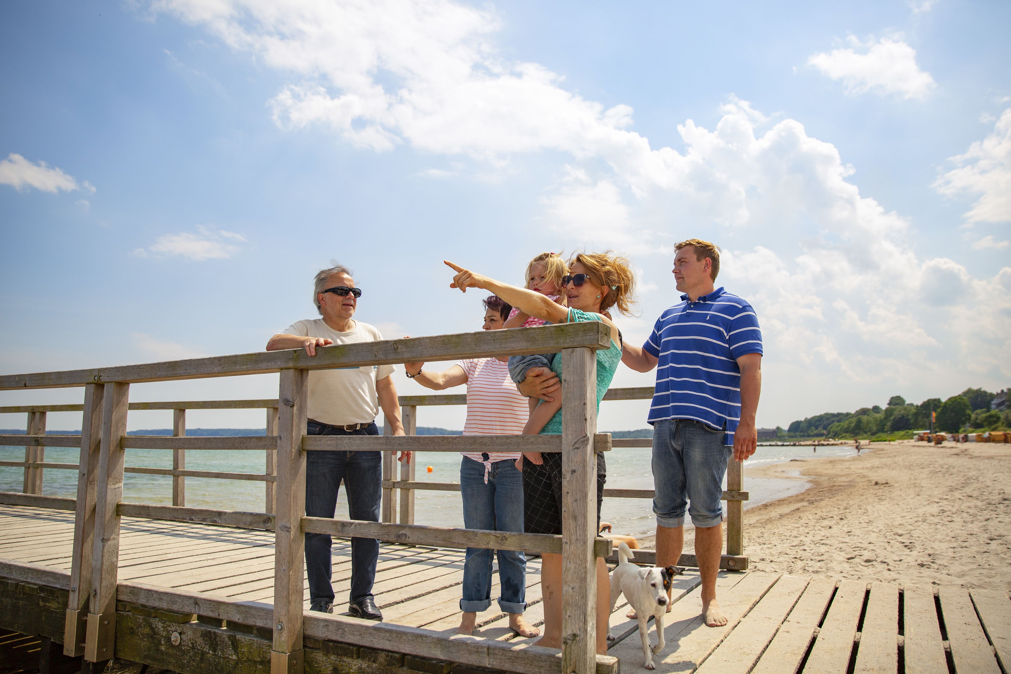 A wooden pier with people standing and a dog on it, overlooking a beach.