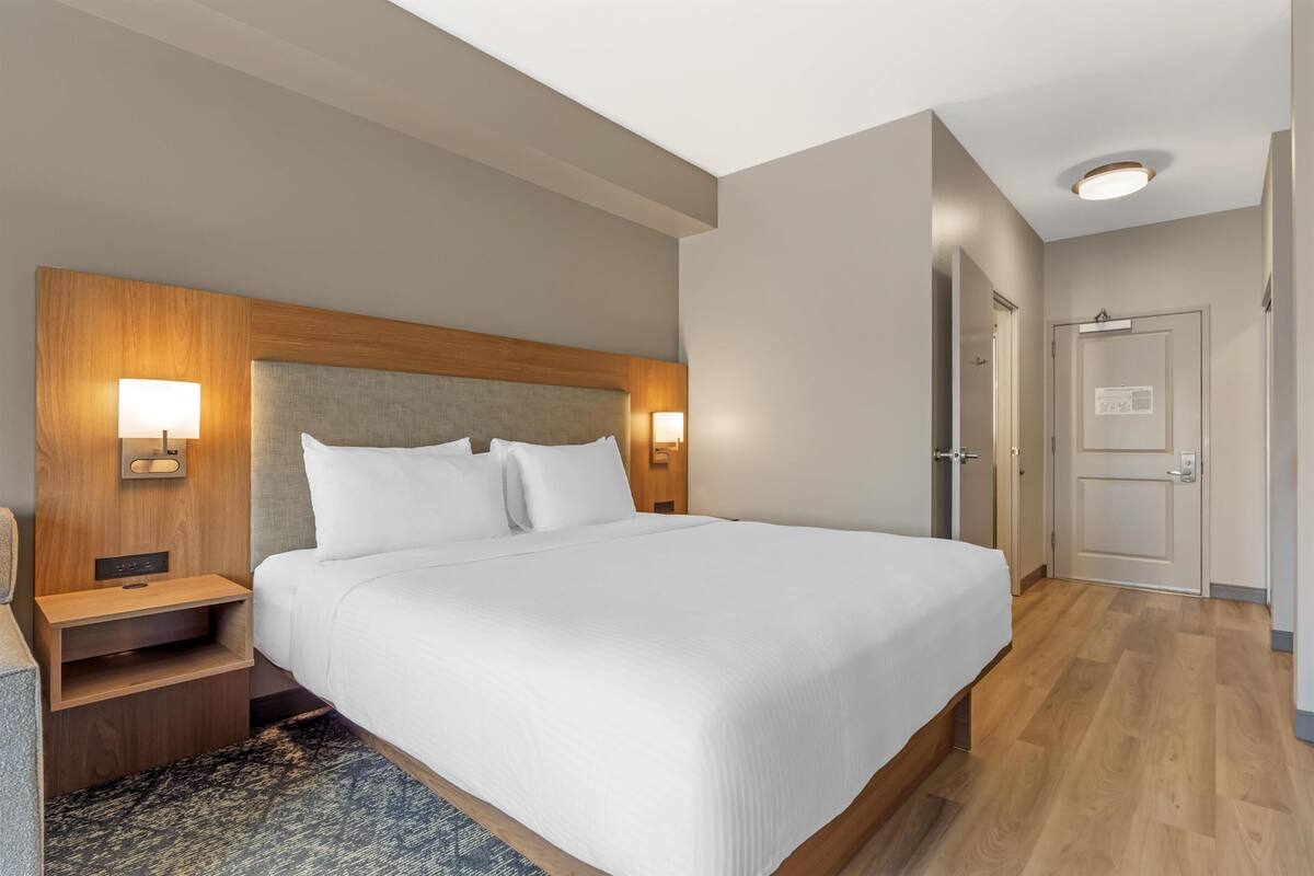 Standaard kamer, 1 kingsize bed, niet-roken, koelkast & magnetron (with Sofabed) | Luxe beddengoed, een kluis op de kamer, een bureau, een laptopwerkplek