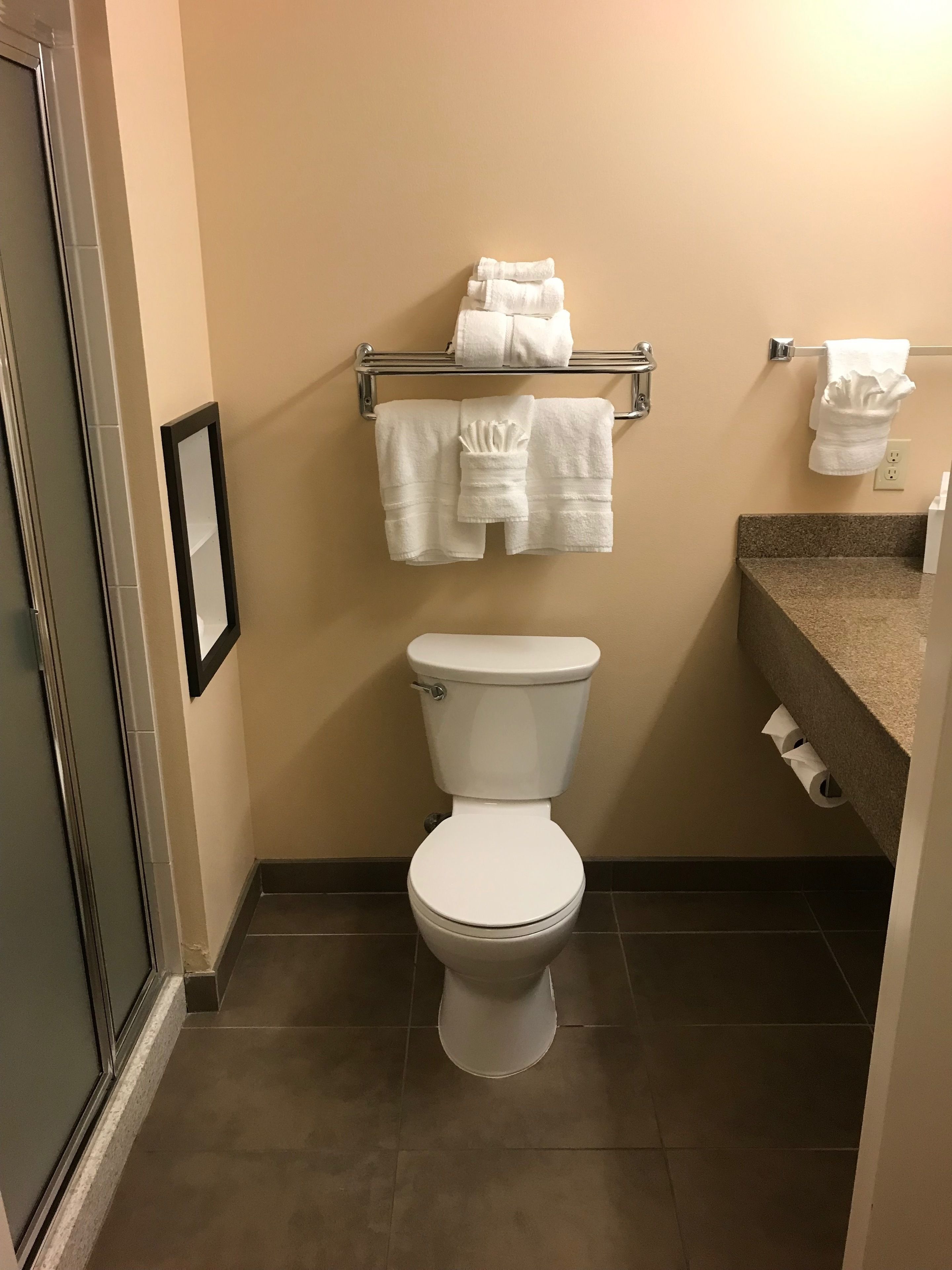combined shower/bathtub, free toiletries, hair dryer, towels