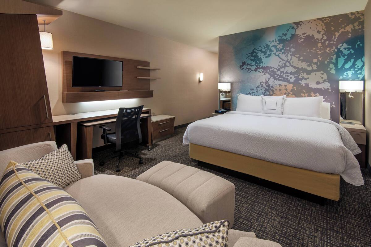 A hotel room with a bed, a desk, a TV, a couch, and a wall with a tree mural.