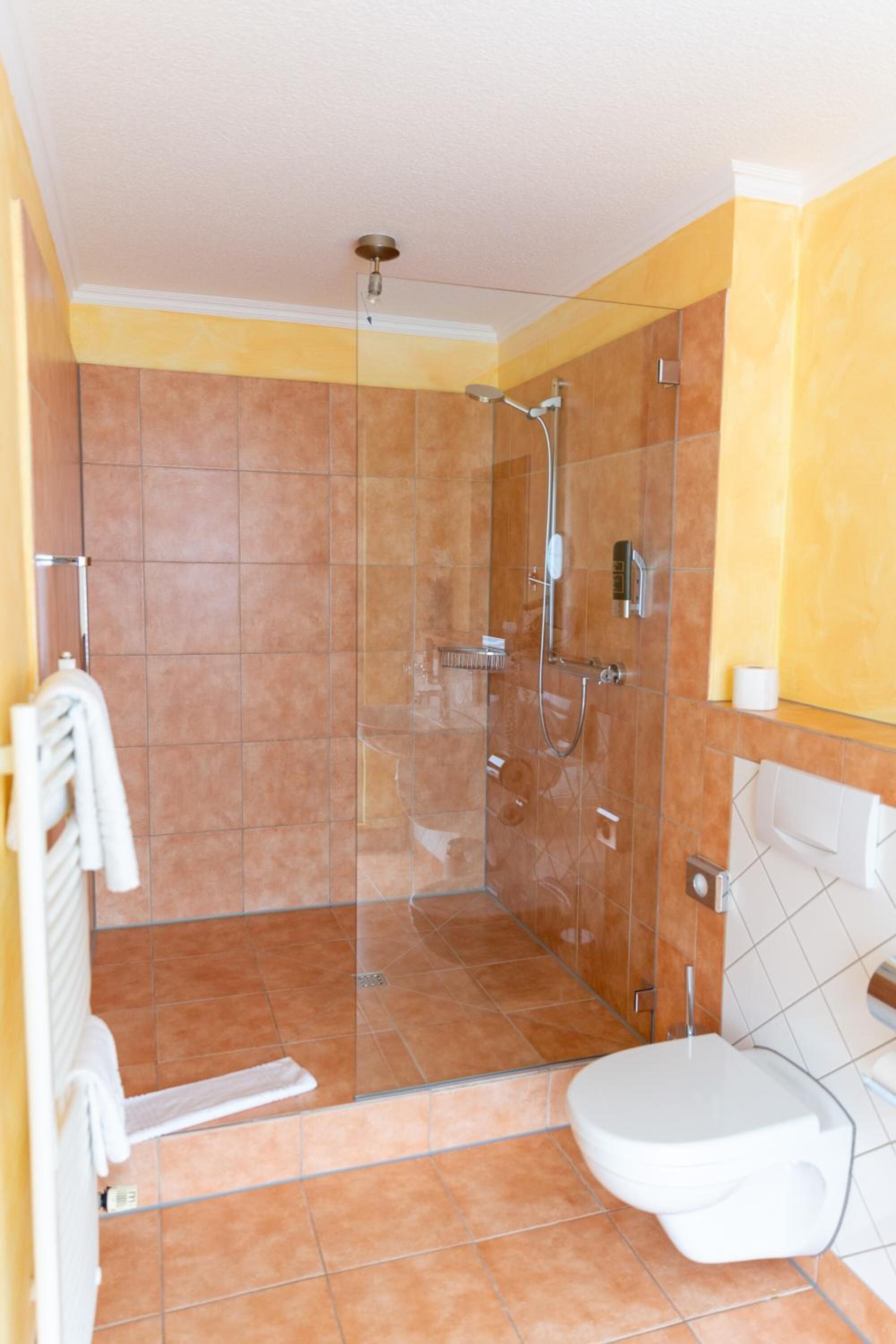 Un baño con ducha de vidrio, inodoro blanco y un perchero para toallas.