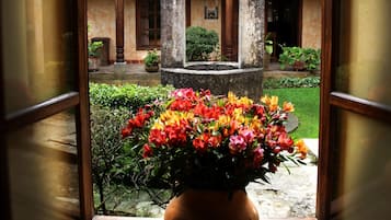 Jardín