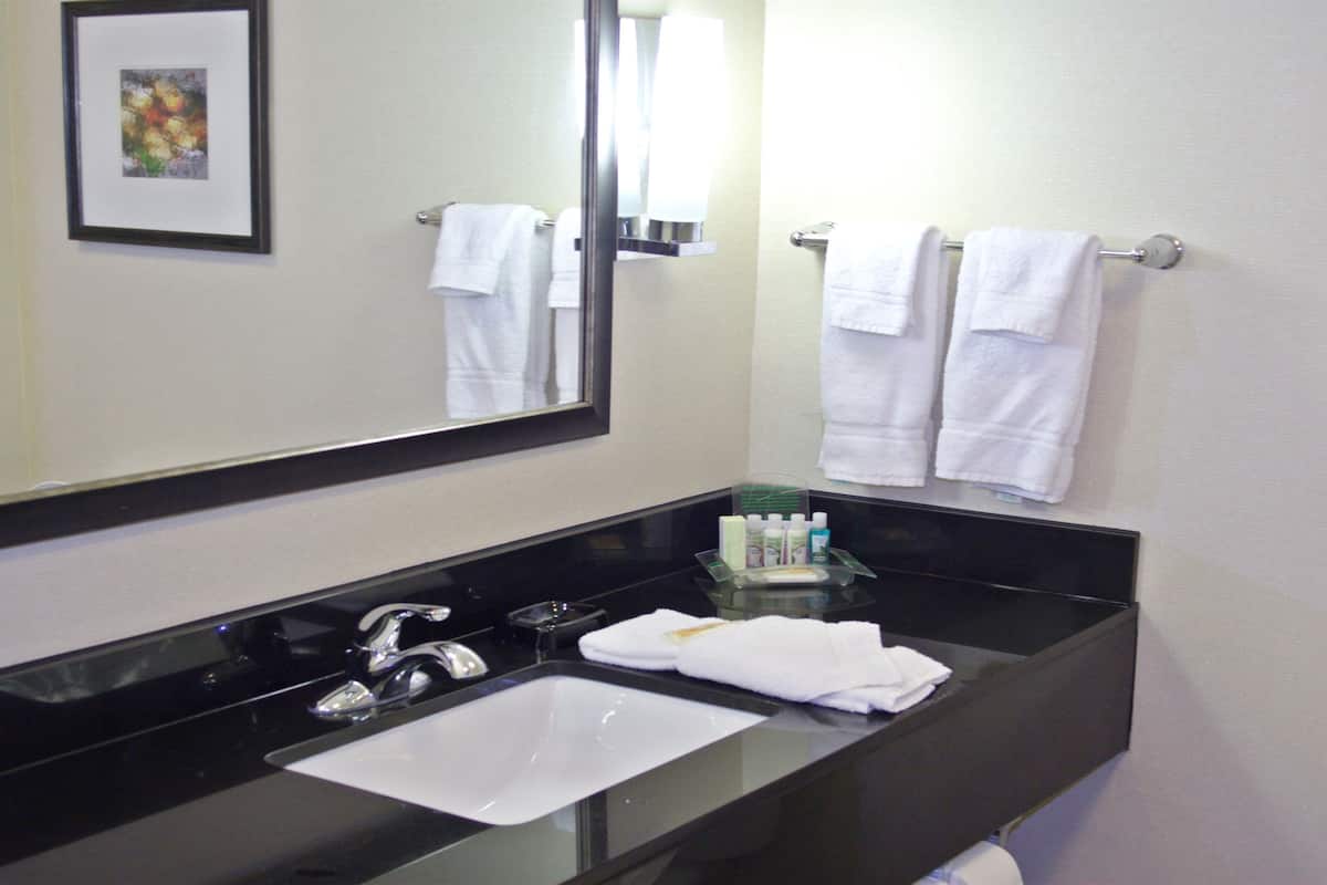 hair dryer, towels, soap, shampoo