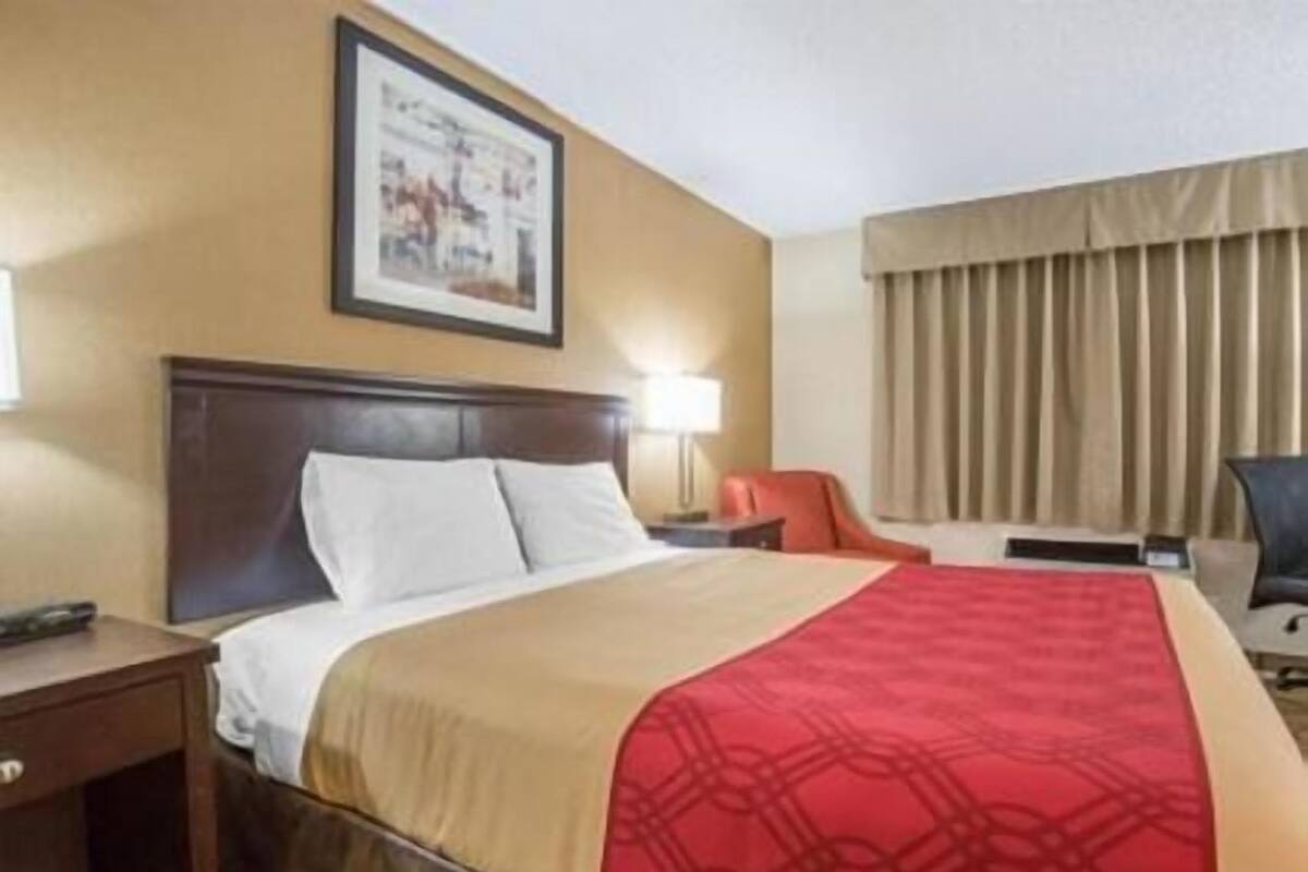 1 habitación, escritorio, cunas y camas extra