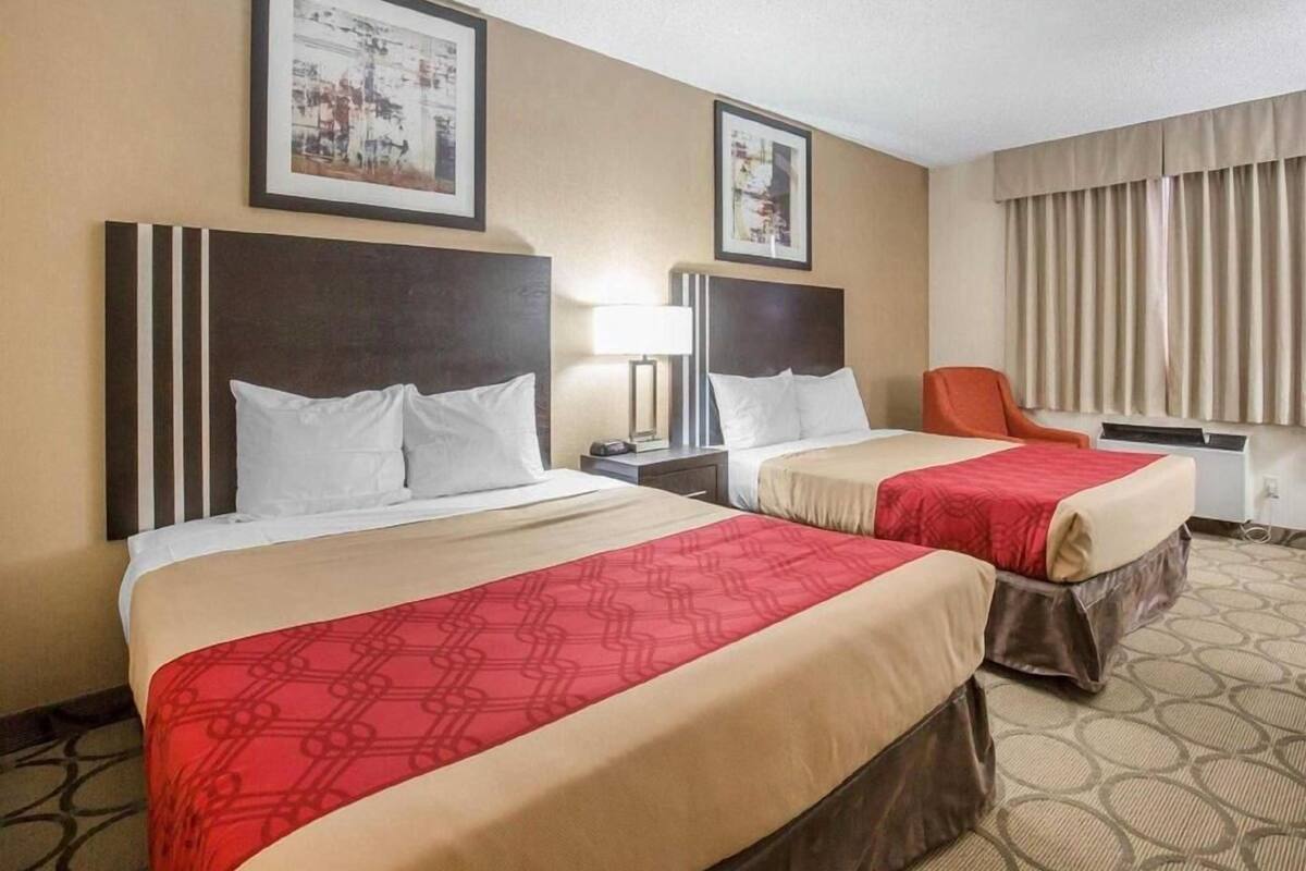 1 habitación, escritorio, cunas y camas extra