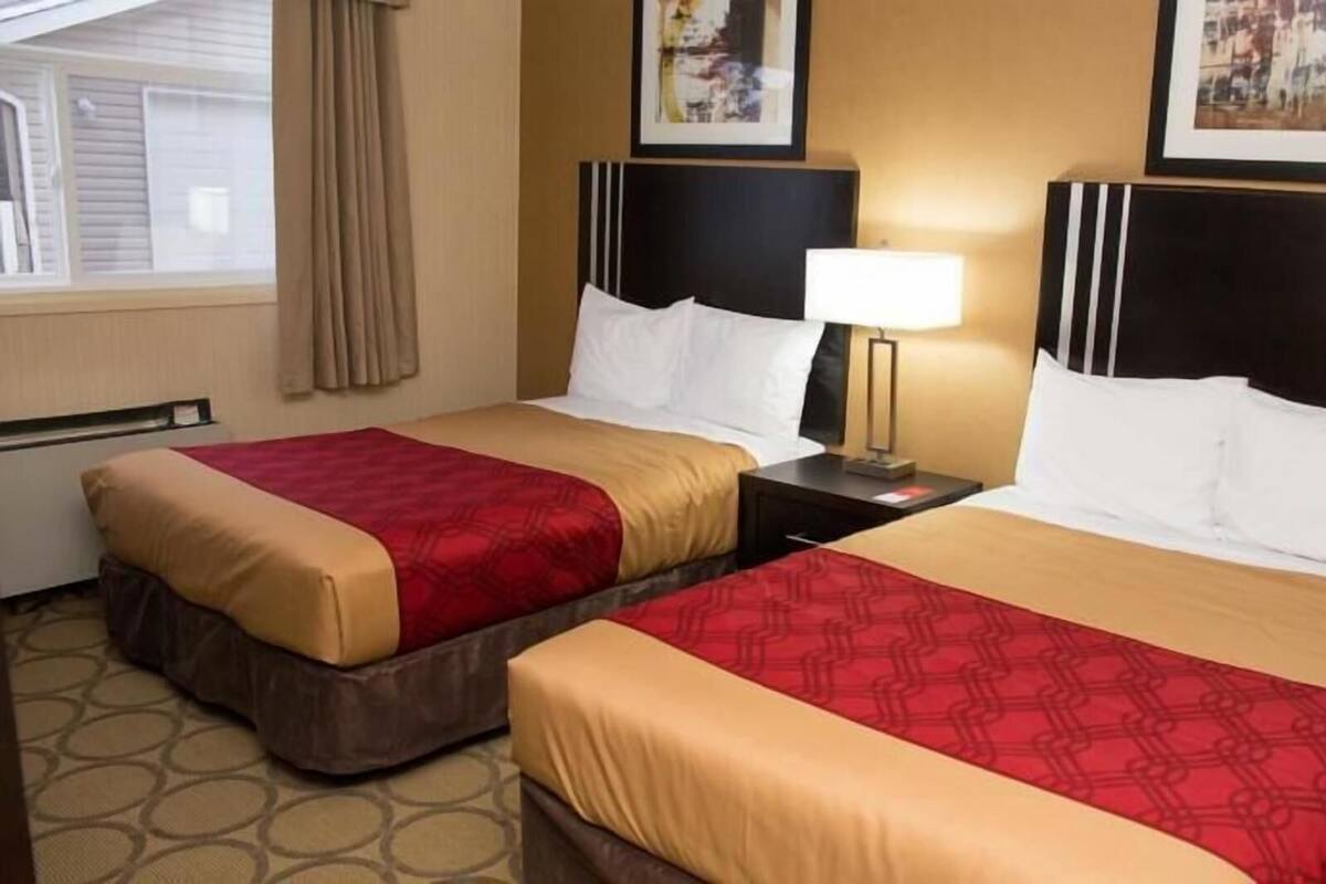 1 habitación, escritorio, cunas y camas extra