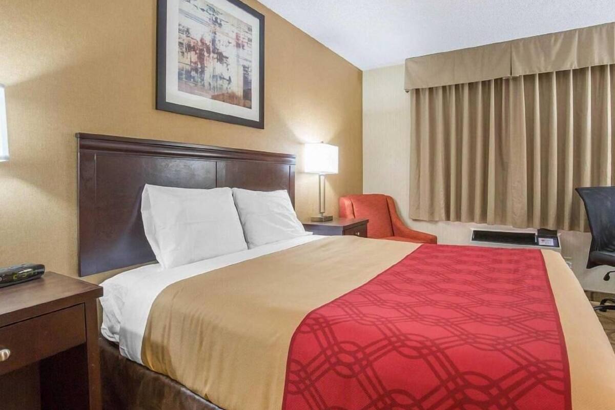 1 habitación, escritorio, cunas y camas extra