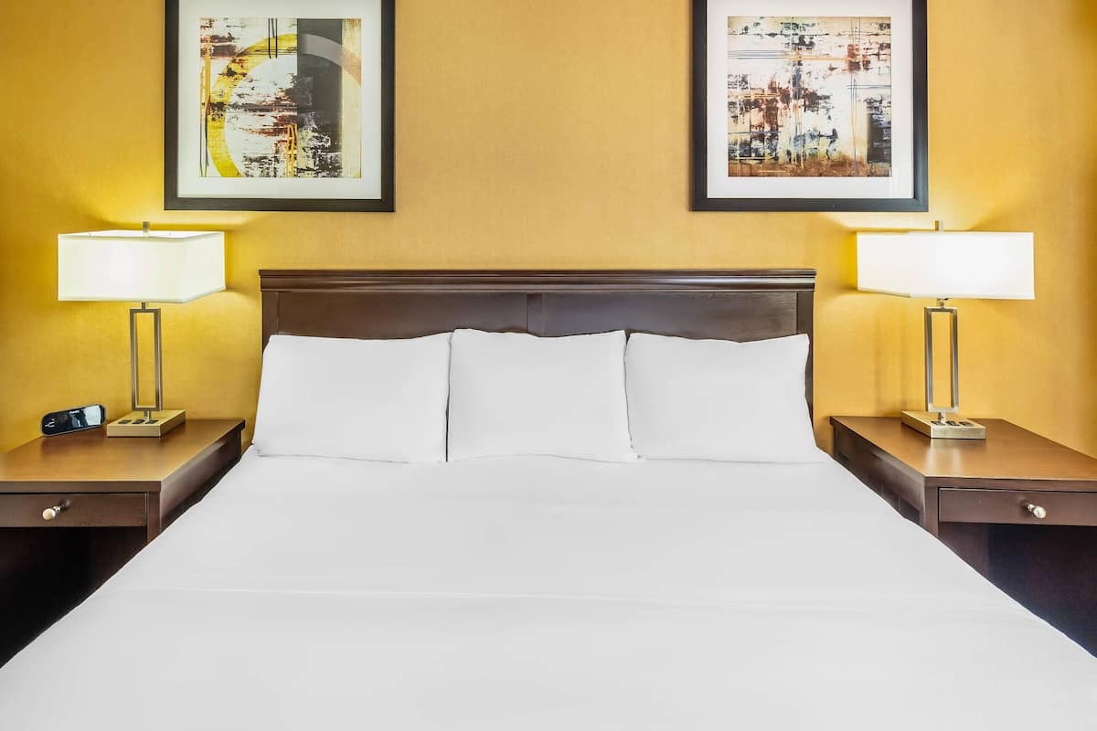 Standard Room, 1 King Bed, Non Smoking
