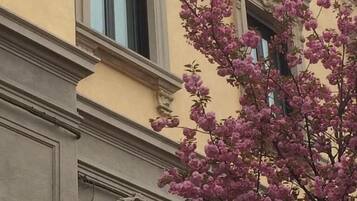 Eine Gebäudefassade mit klassischer Architektur, darunter Pilaster und ein dekoratives Gesims.