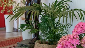 A statue of a woman in a dynamic pose, surrounded by lush green plants and pink flowers. - Hotel La Nuova Rotaia (Gallarate)