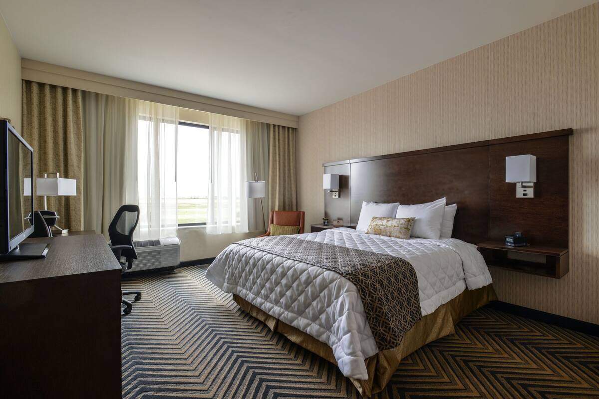 Standard Room | Premium bedding, pillowtop beds, in-room safe, desk