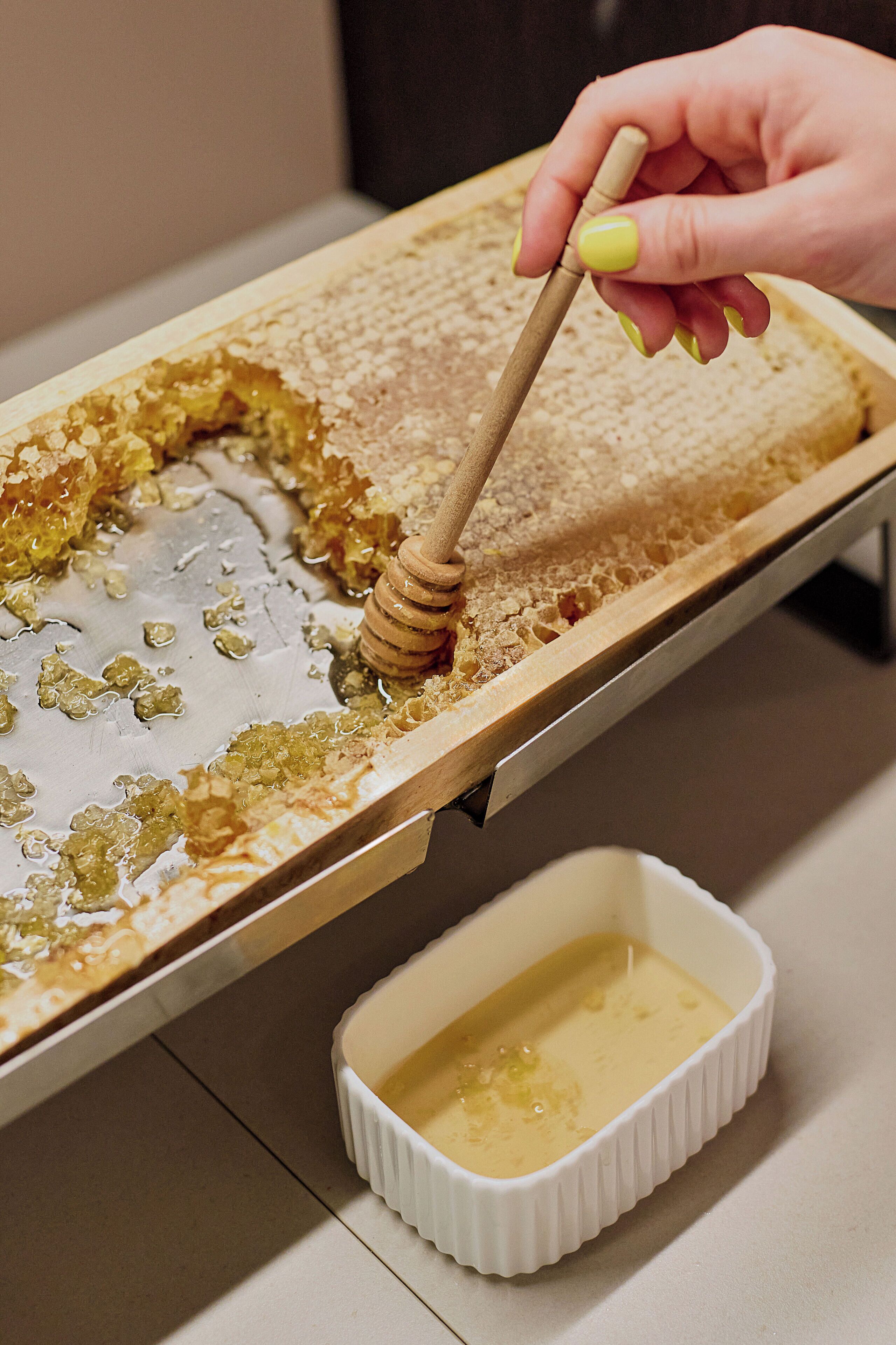 A honeycomb with honeycomb pieces and a honey dipper.