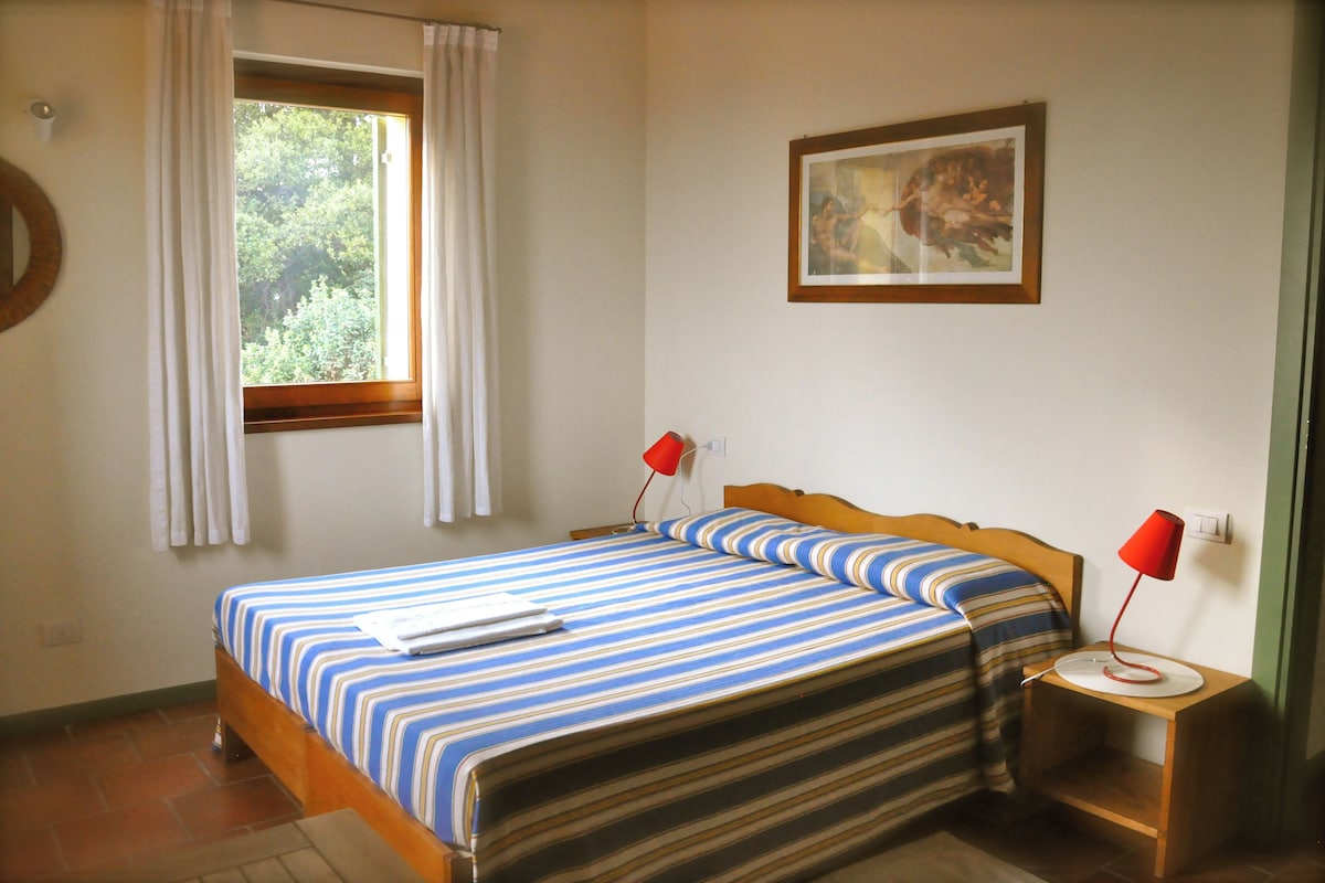 A bedroom with a bed, a window with curtains, a bedside table with a lamp, and a framed picture on the wall.