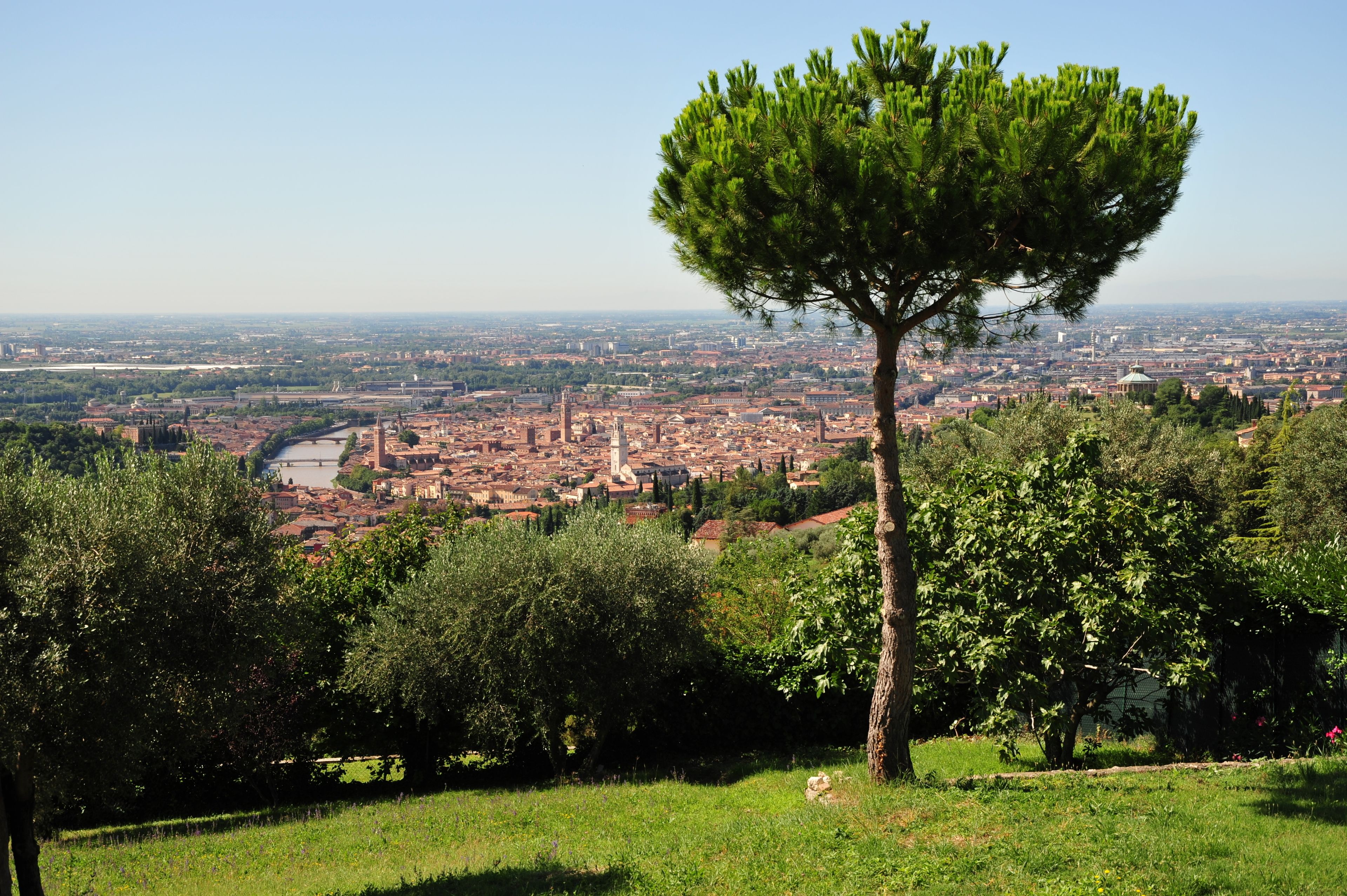 Une colline plantée d’arbres, offrant une vue panoramique sur la ville.