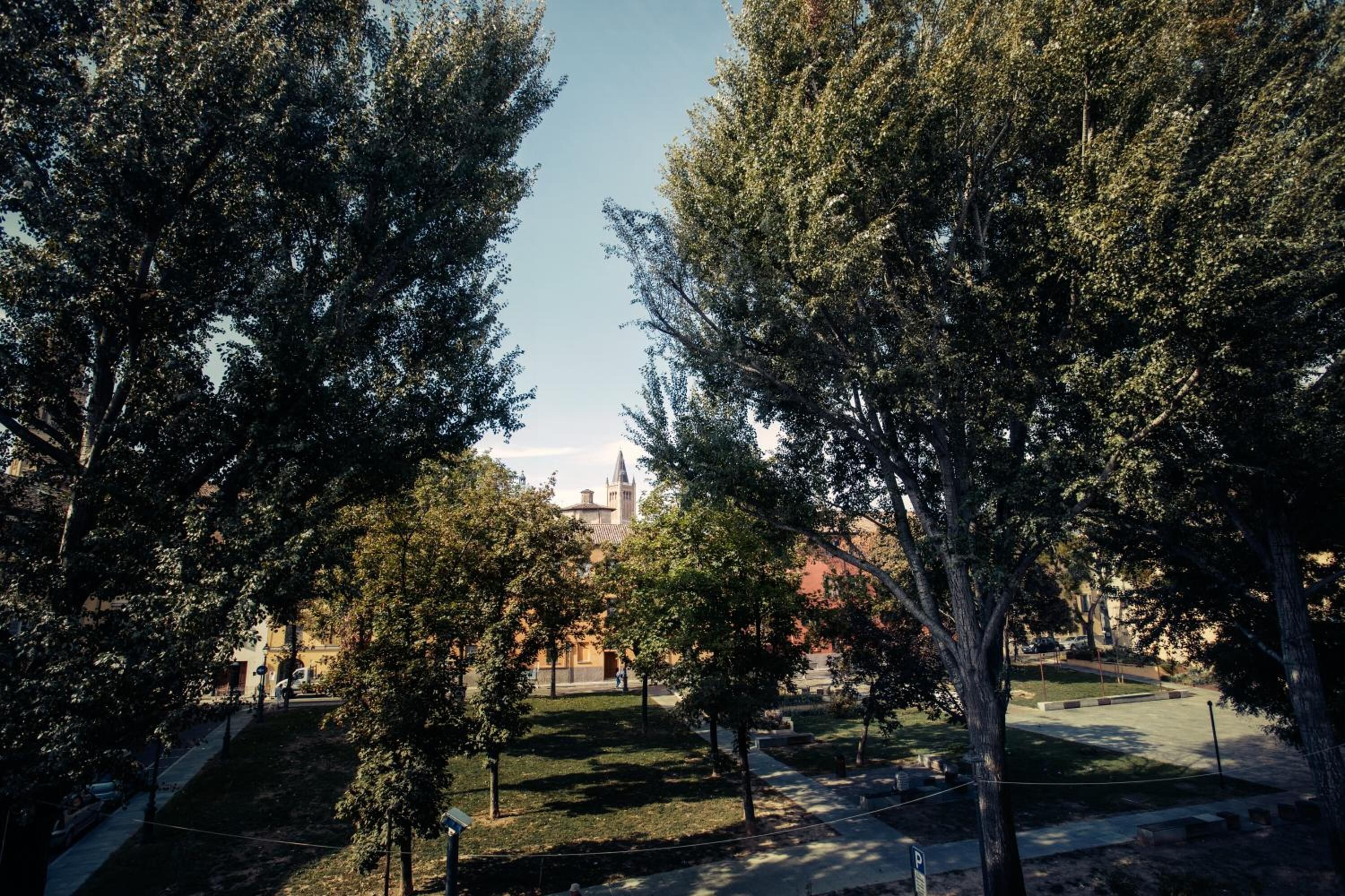Ein Park mit Bäumen und einem Gebäude in der Ferne.