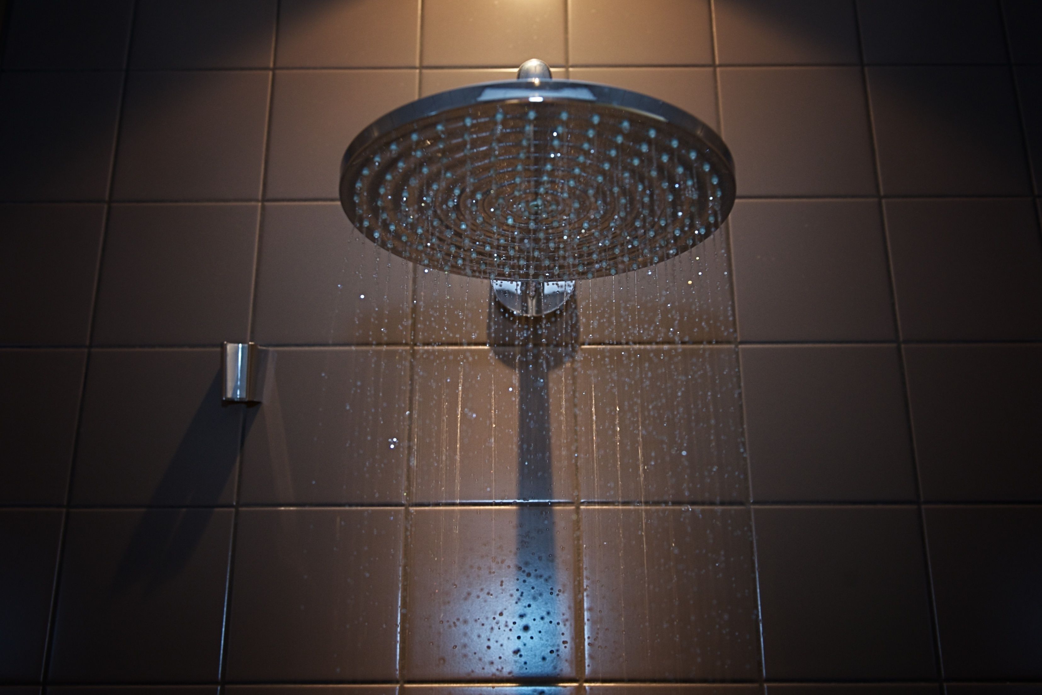 junior suite | bathroom shower