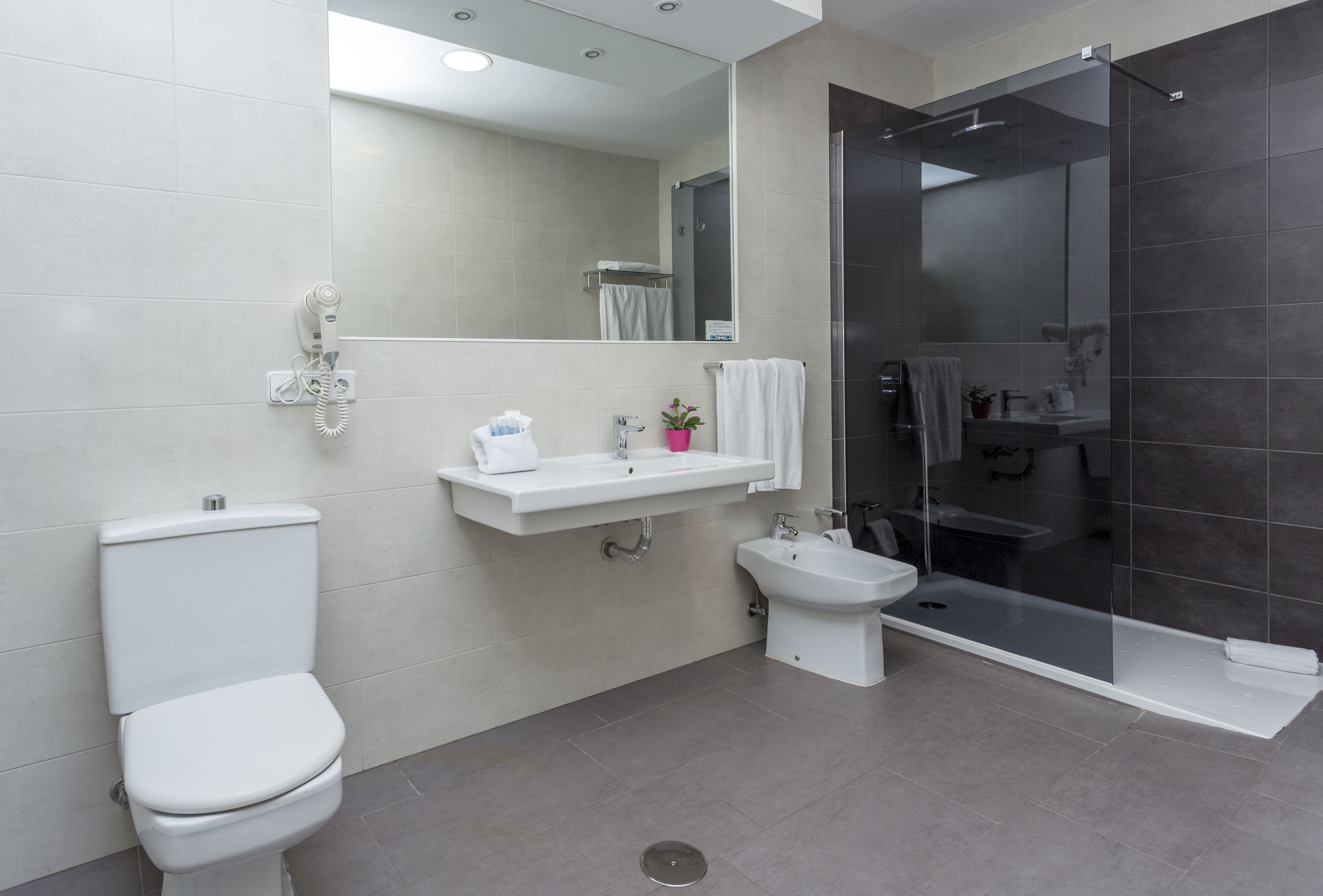 shower, free toiletries, hair dryer, bidet