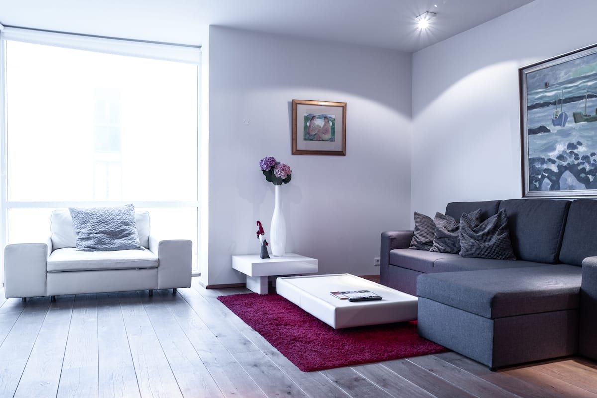 Apartment, 2 Schlafzimmer, Stadtblick (Laugavegur 86-94) | Wohnzimmer | Fernseher