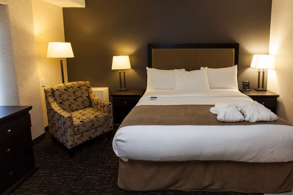 Habitación de hotel con una cama grande, dos lámparas de noche, un sillón estampado y una mesita de noche con un teléfono.
