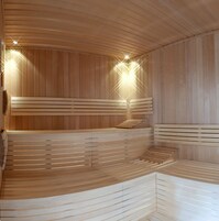 Sauna seca