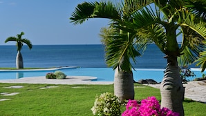 Ein Poolbereich mit Palmen und Blick auf das Meer.