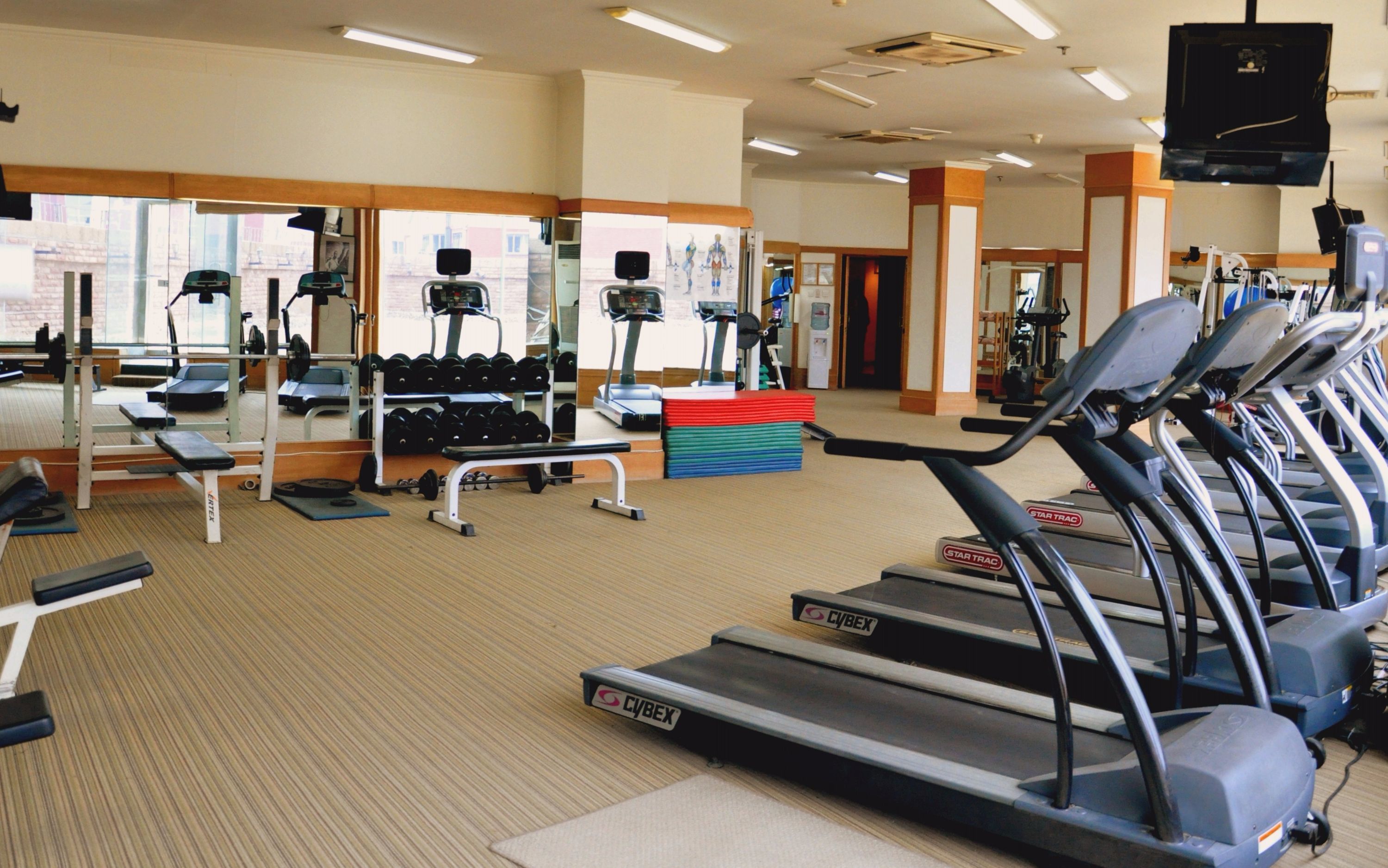 A gym with treadmills, dumbbells, and weight benches.
