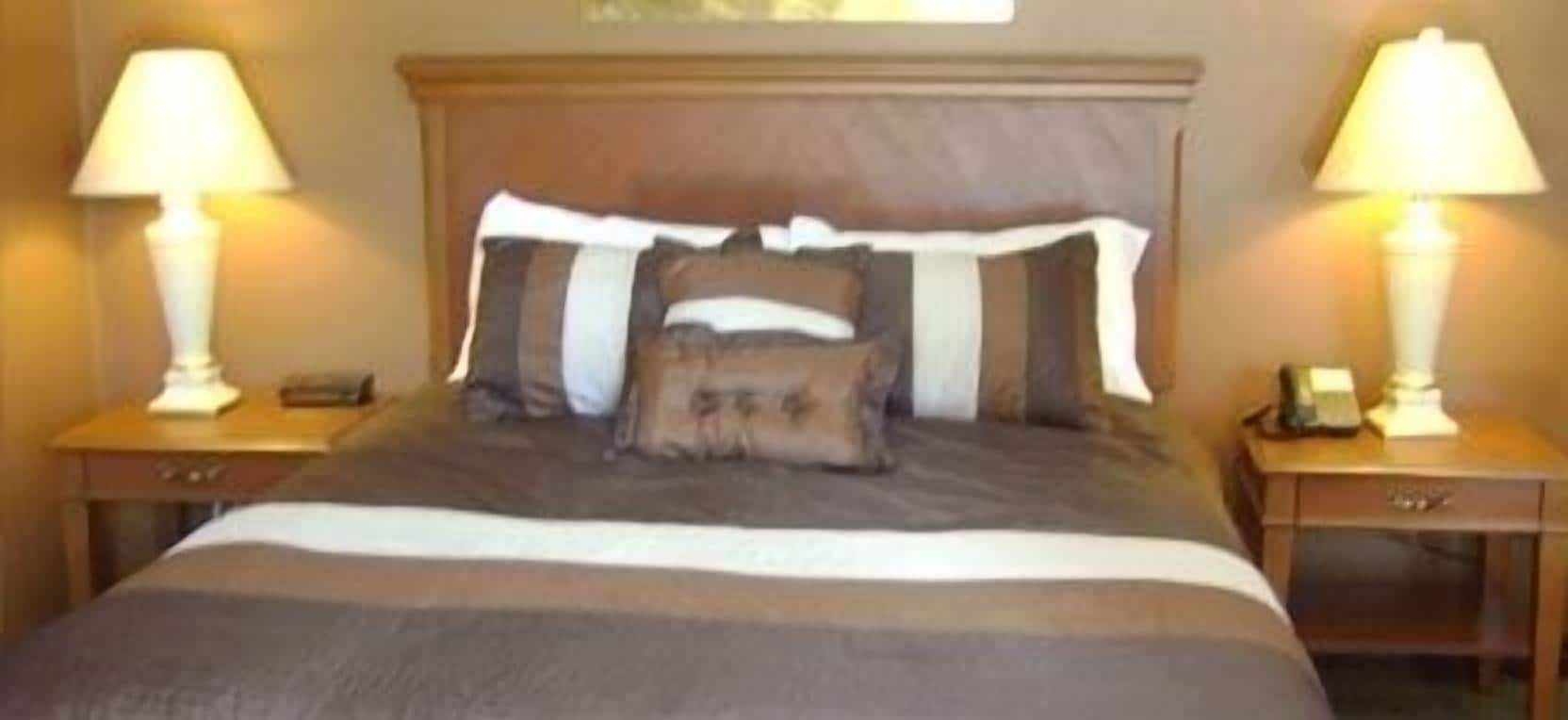 standard single room | desk, iron/ironing board, free wifi, bed sheets