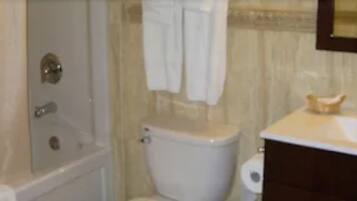 Une salle de bain avec douche, toilettes et lavabo.
