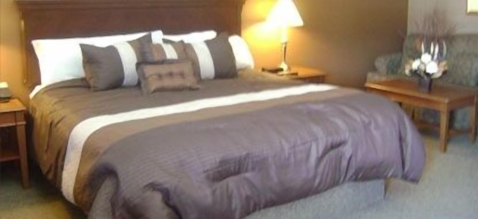 standard room, 1 king bed, jetted tub | desk, iron/ironing board, free wifi, bed sheets