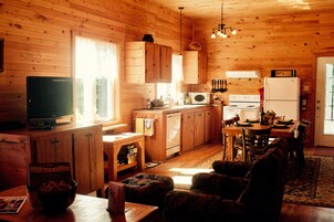 Televisión de pantalla plana, chimenea, reproductor de DVD