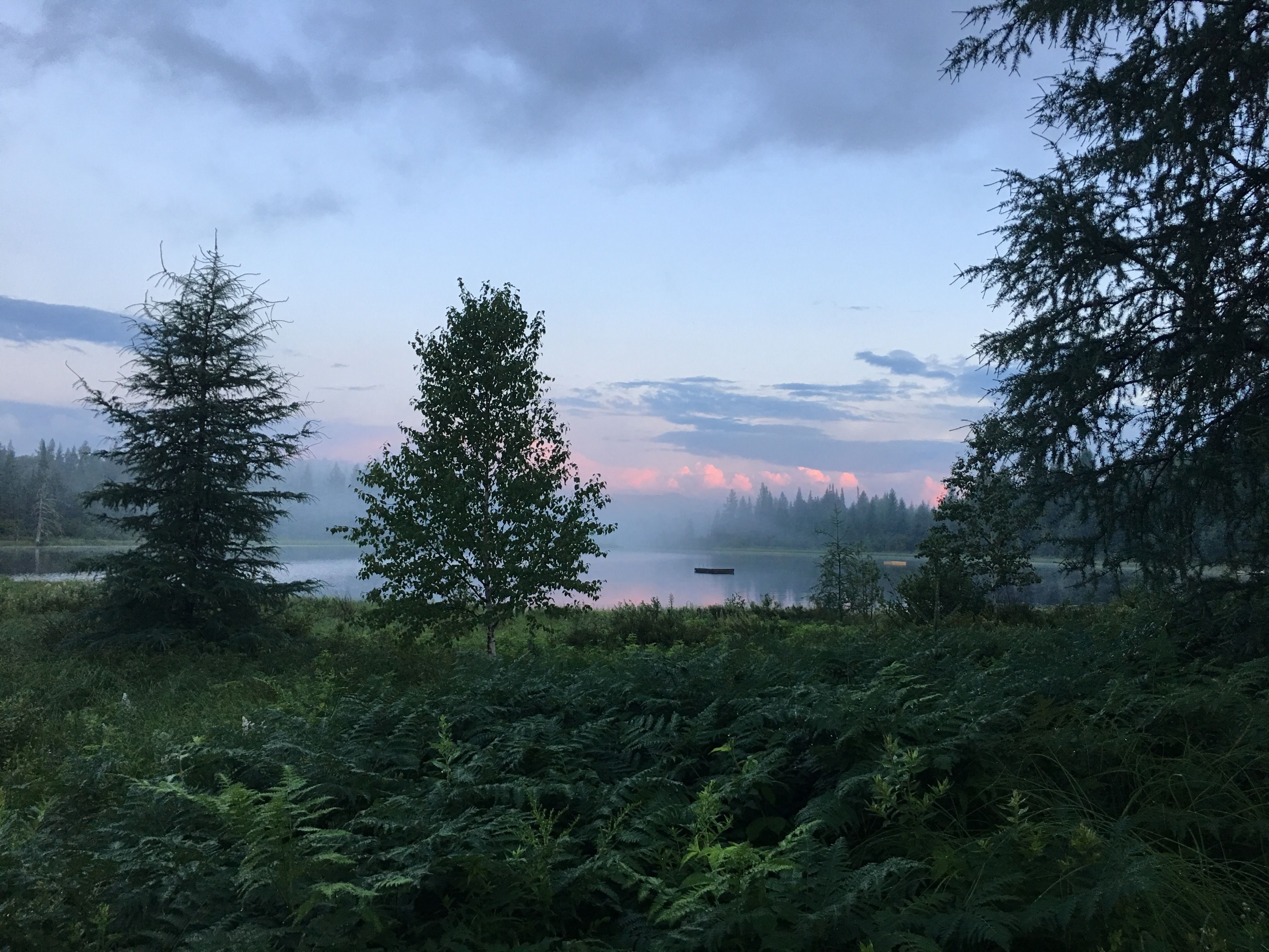 A serene lakeside view with dense forest and a clear sky.