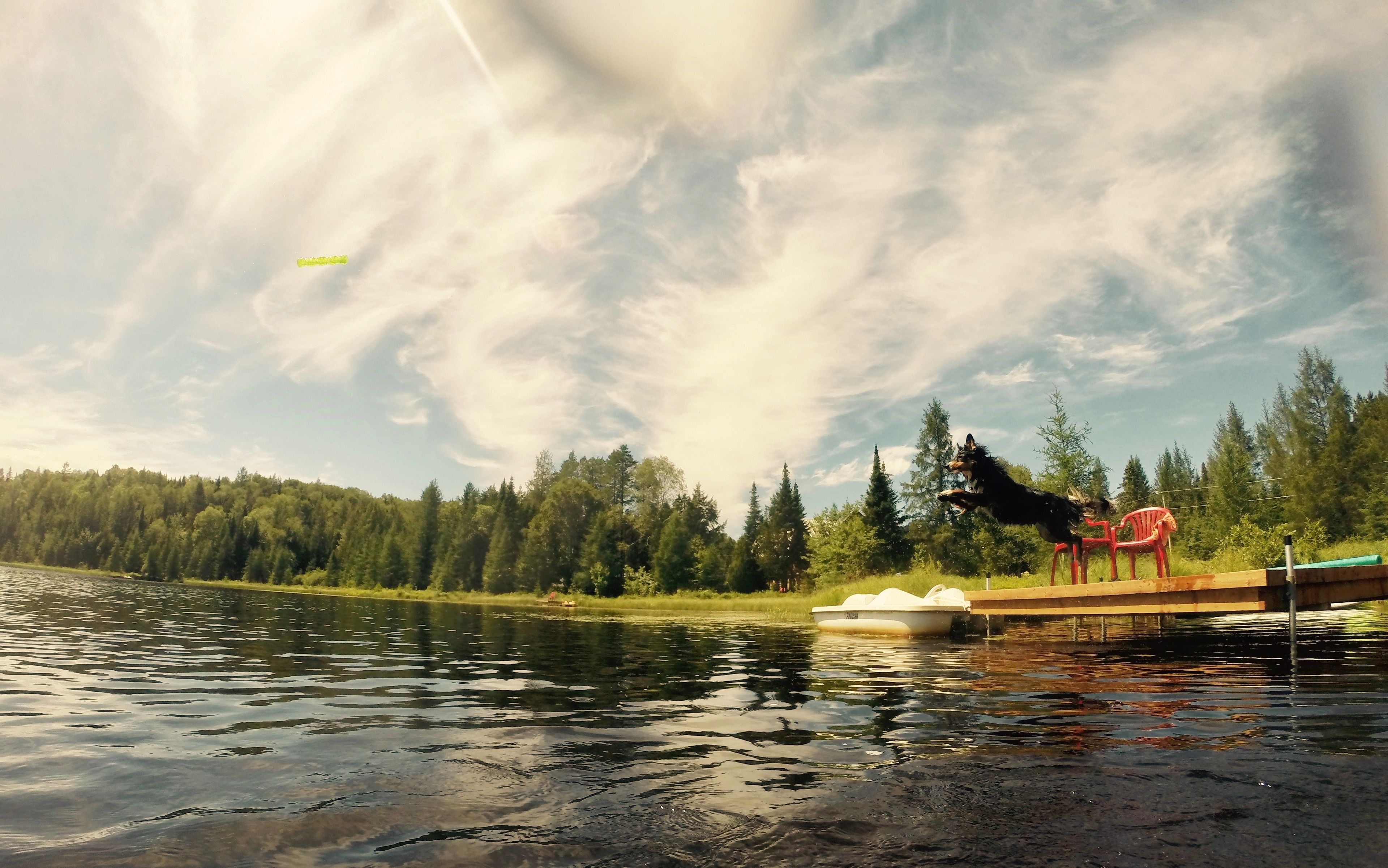 A serene lake with a dock, surrounded by dense forest.