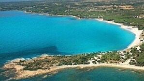 An aerial view of a coastal area with clear blue waters, a sandy beach, and a mountainous backdrop. - Residence Sos Alinos (Orosei)