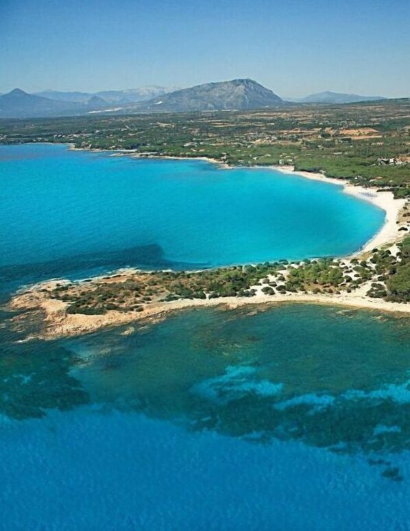 室外游泳池，提供日光浴躺椅