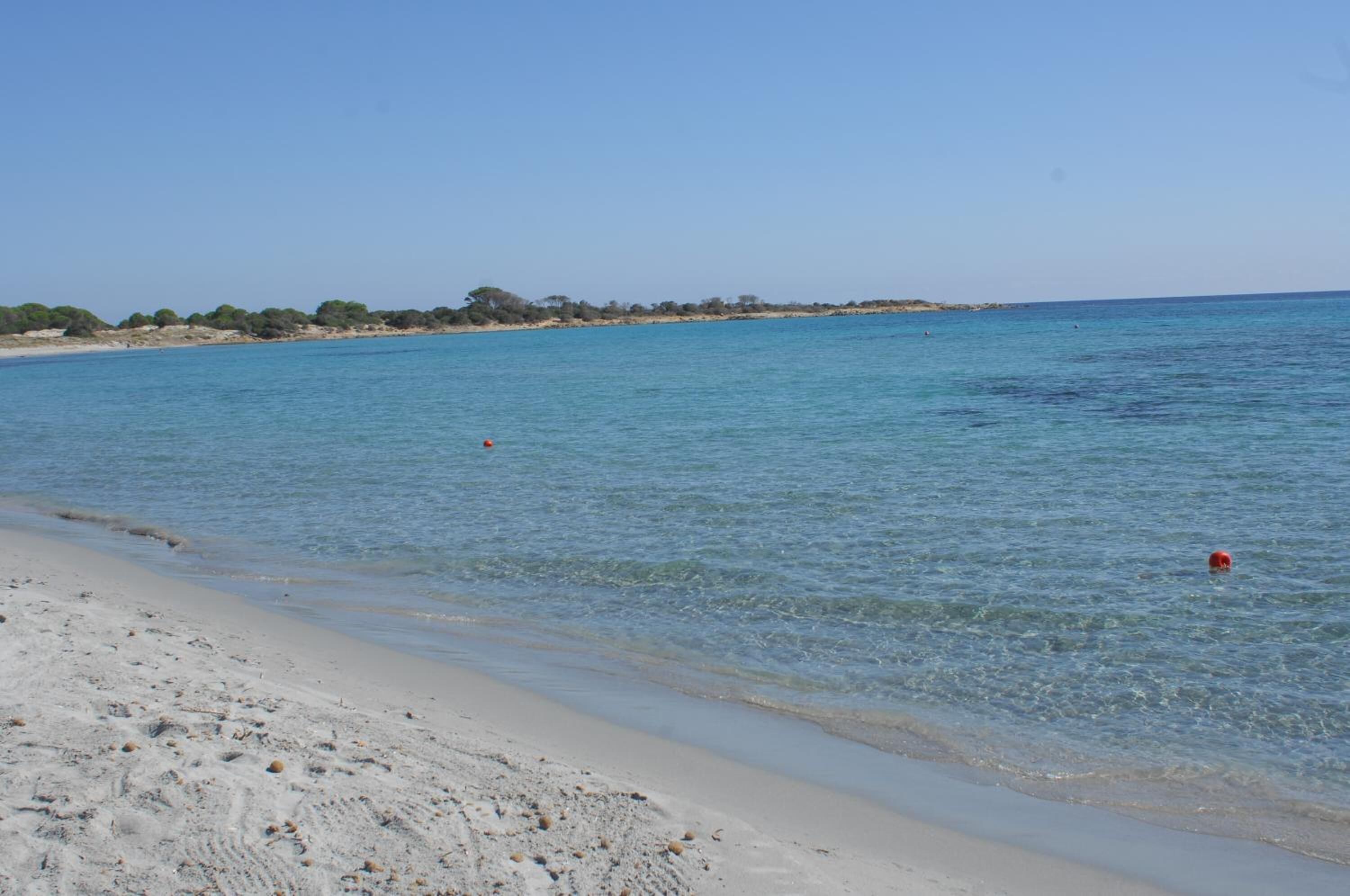 A beach with clear blue water, sandy shore, and distant trees.