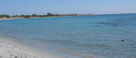 A beach with clear blue water, sandy shore, and distant trees.