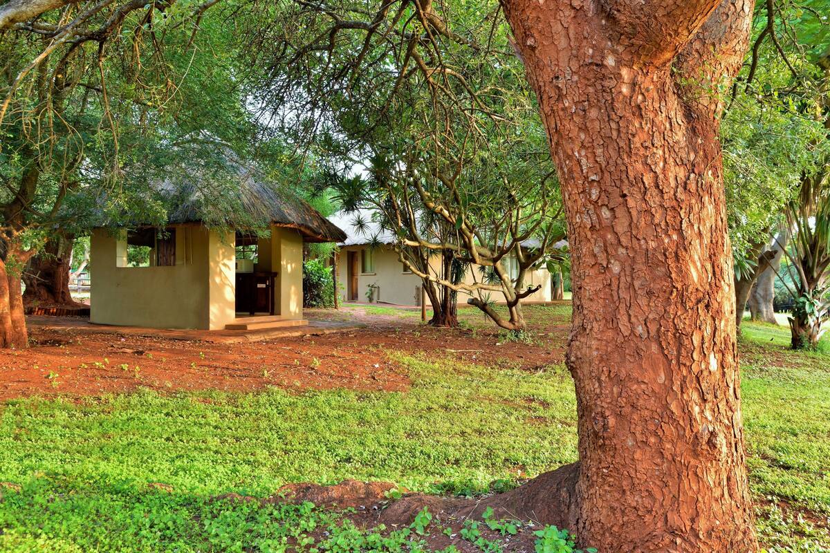 A rustic lodge with thatched-roof cabins surrounded by lush greenery and large trees.