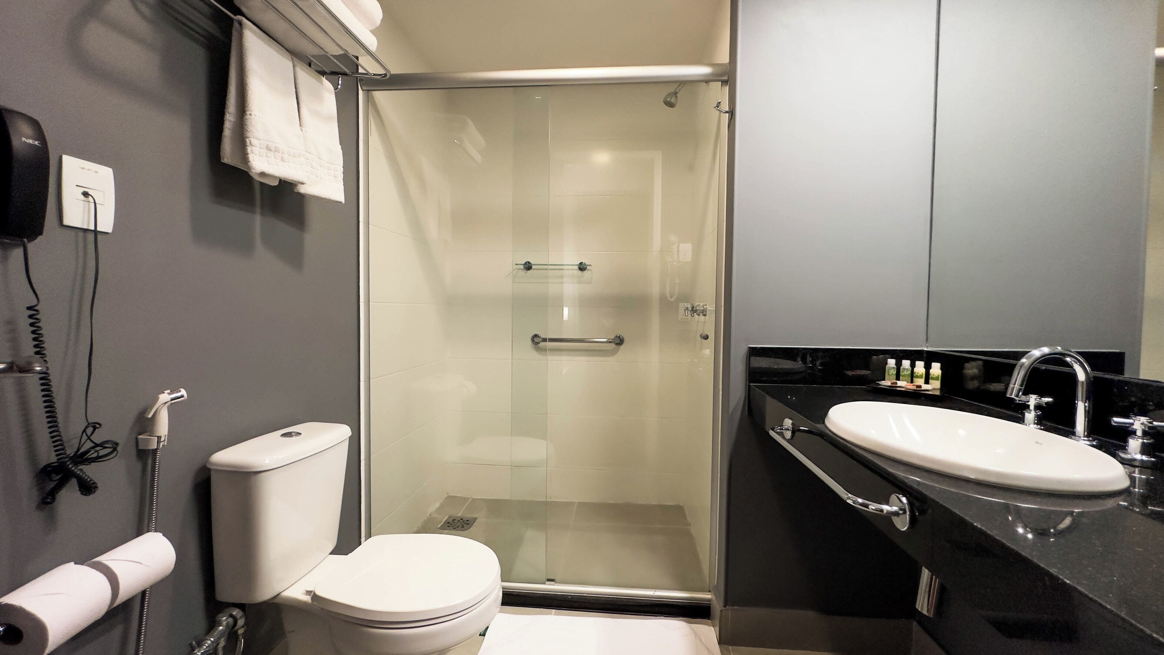 A modern bathroom with a glass-enclosed shower, a white toilet, a black sink with a mirror, and a towel rack with towels.