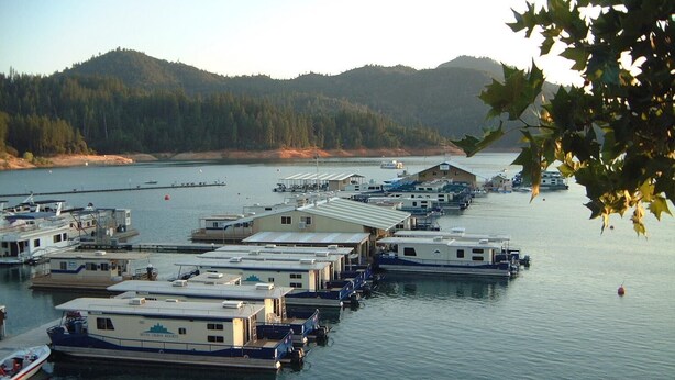A marina with several docked boats and a row of cabins.