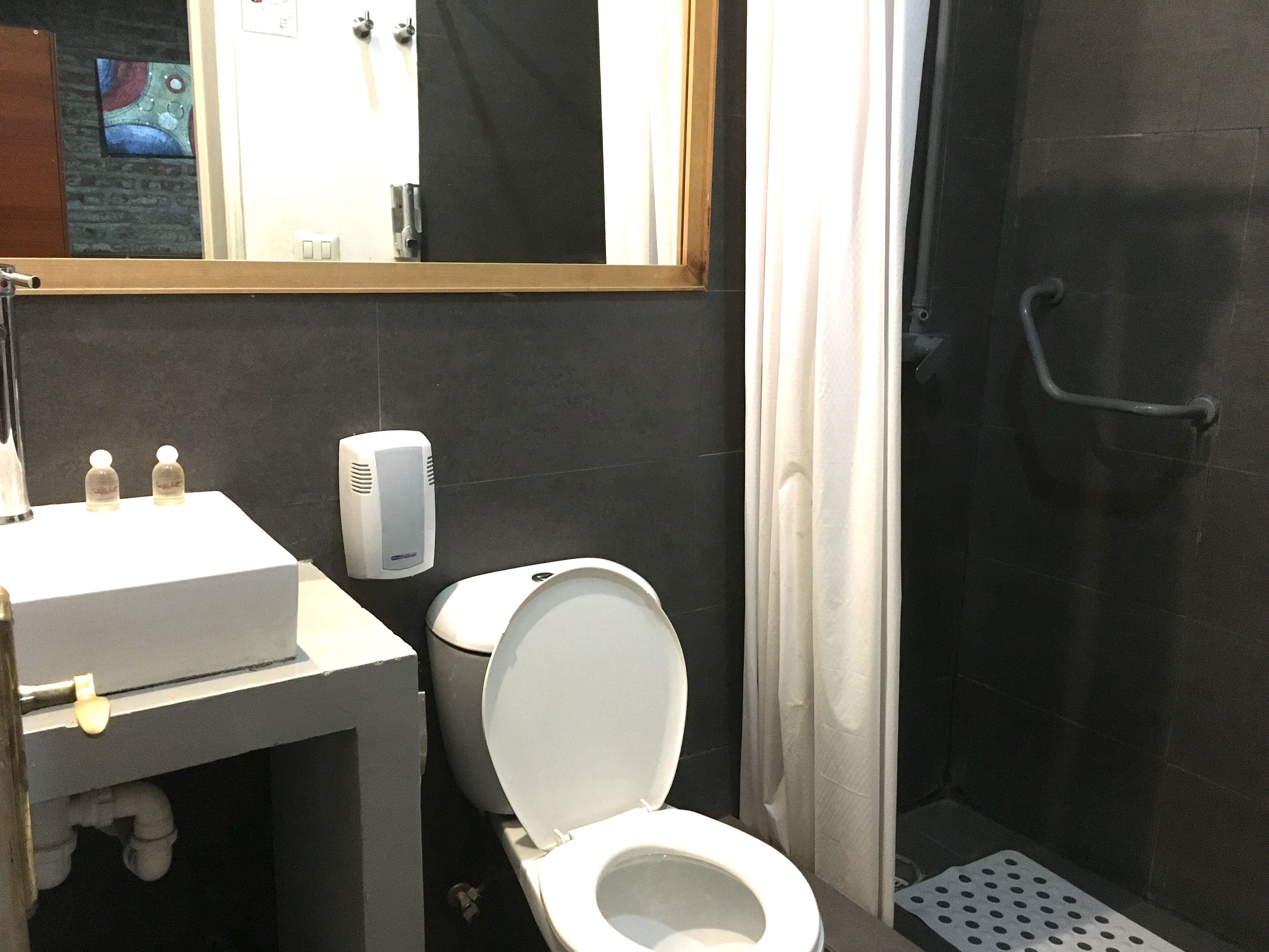 Foto - Hotel Casa Lyon