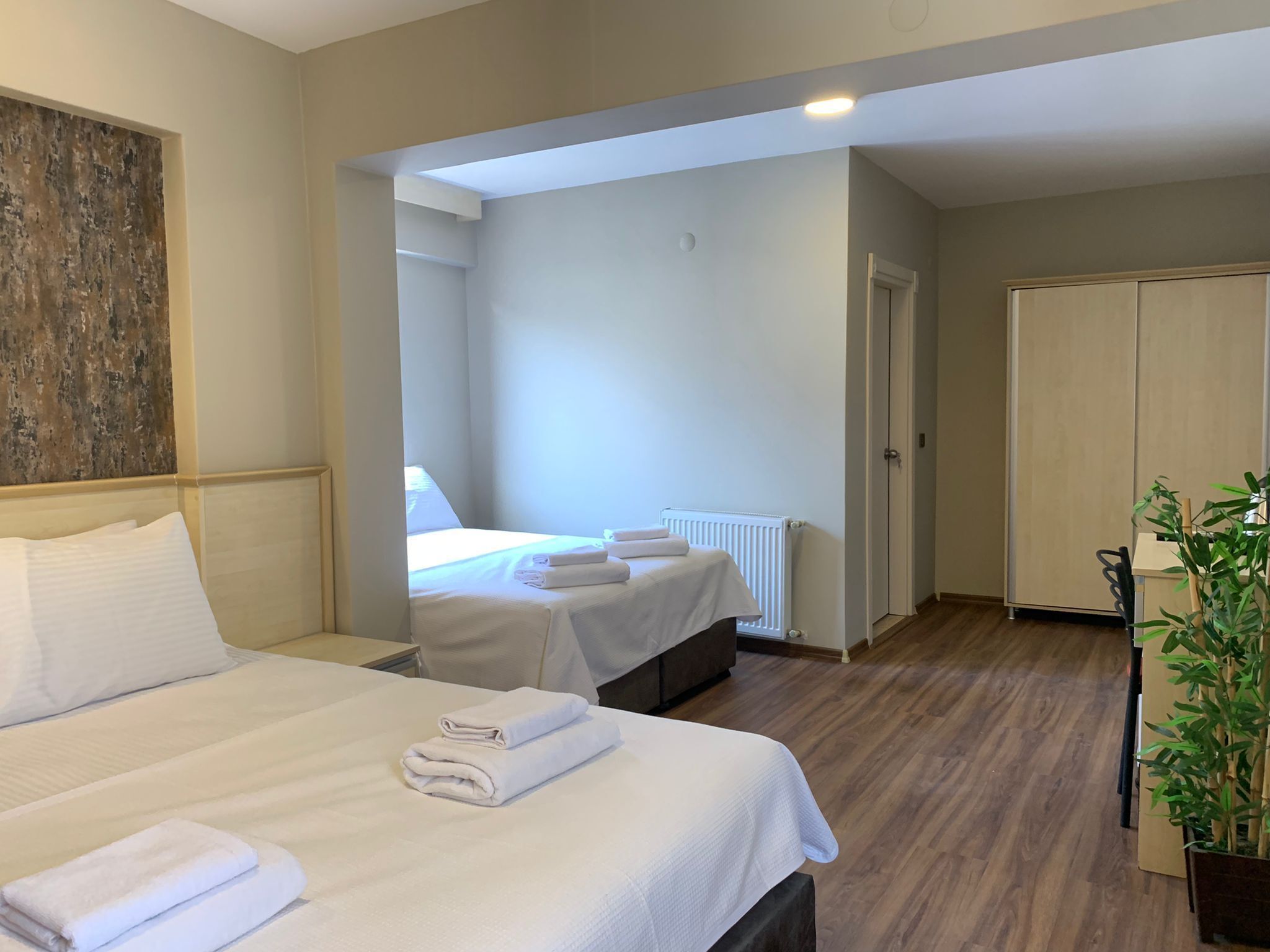 A hotel room with two beds, a radiator, a wardrobe, and a potted plant.