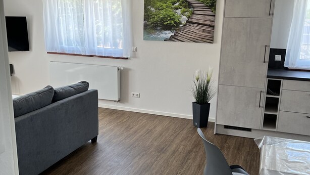 A modern living room with a grey sofa, a dining table with a chair, and a kitchen area with cabinets and a window with a view of greenery.