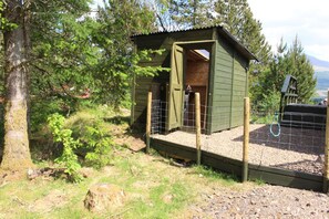 Overnattingsstedets uteområder