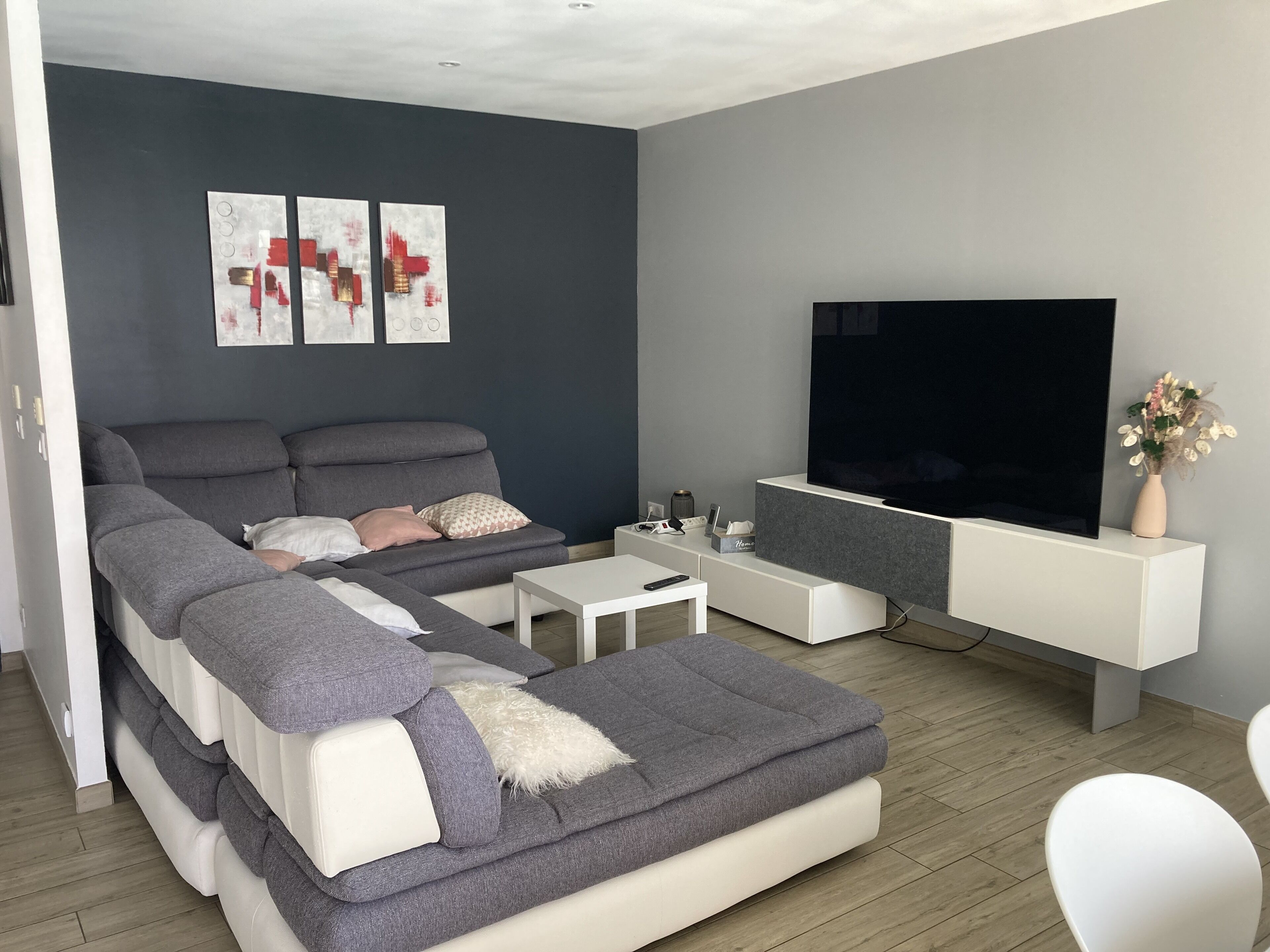 电视、乒乓球、书