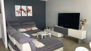 Télévision, table de tennis de table, livres