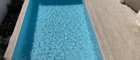 A rectangular swimming pool with clear blue water, surrounded by a tiled deck and bordered by low shrubs.