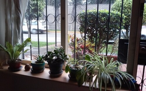 Nice one bedroom apartment with garden to rent