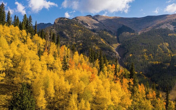 Escape to a serene mountain landscape with dense forests and rugged terrain, perfect for hiking and exploring.