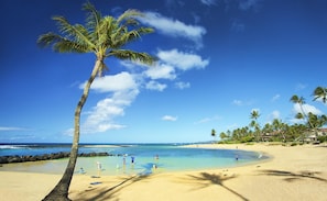 A beach with clear blue water, a palm tree, and a sandy shore. - Luxury 3BR Poipu Paradise: Pool, Hot Tub, Gym, AC, Golf Course (Koloa)