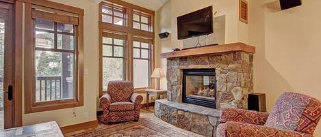 TV, fireplace, DVD player